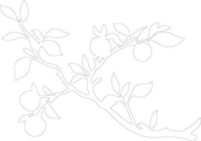 prune  outline silhouette vector