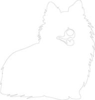 American Eskimo Dog  outline silhouette vector