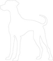 Sloughi outline silhouette vector