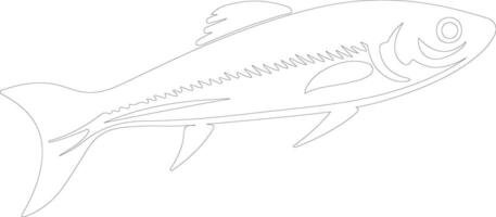 minnow  outline silhouette vector