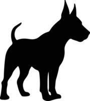 Bull Terrier   black silhouette vector