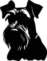 Standard Schnauzer    black silhouette vector