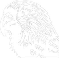 kakapo  outline silhouette vector