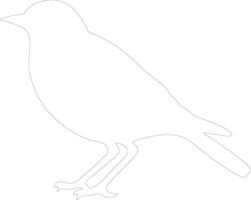 blackbird  outline silhouette vector