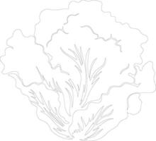 iceberg lettuce  outline silhouette vector