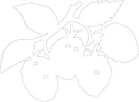 raspberry  outline silhouette vector