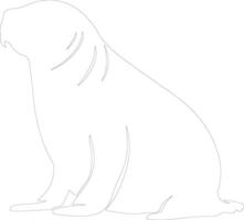 northern elephant seal  outline silhouette vector