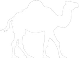 bactrian camel  outline silhouette vector