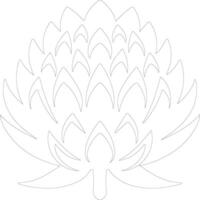 artichoke  outline silhouette vector