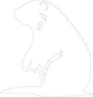 marmota contorno silueta vector