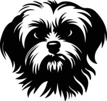 Maltese  silhouette portrait vector