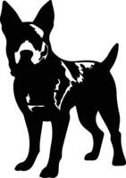 Australian Cattle Dog    black silhouette vector