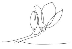 magnolia flor floreciente describir. mano dibujado. negro y blanco clipart. vector valores ilustración. aislado en un blanco antecedentes.