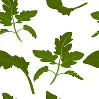 Parsley vector stock illustration. Tomato and green leaves. Rosemary seasoning, juicy fresh pattern. An endless pattern of green leaves. For wrapping paper. Ideal for wallpaper, surface textures, text