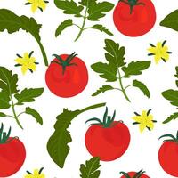 Tomatoes are a seamless repeating pattern. Tomato vector stock illustration. Ripe red fruits of the vegetable.