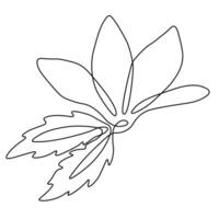 Magnolia flower blooming outline. Hand drawn. Black and white clipart. Vector stock illustration. Isolated on a white background.