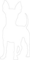 Miniature Pinscher  outline silhouette vector