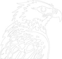 harpy eagle  outline silhouette vector