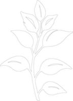 basil  outline silhouette vector