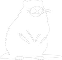 groundhog  outline silhouette vector