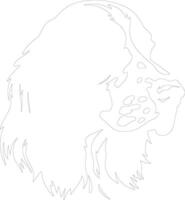 English Springer Spaniel  outline silhouette vector