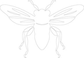 cicada outline silhouette vector