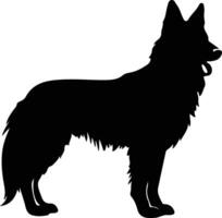 Belgian Tervuren   black silhouette vector