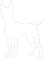 Xoloitzcuintli Mexican Hairless Dog outline silhouette vector