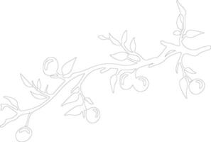 prune  outline silhouette vector