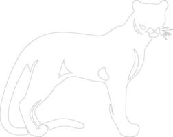 cougar outline silhouette vector