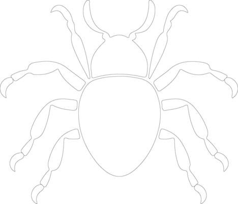 waterbug  outline silhouette