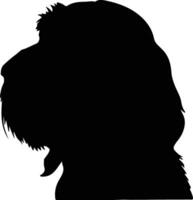 Spinone Italiano   black silhouette vector