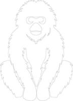 gibbon    outline silhouette vector