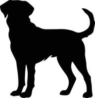 Chesapeake Bay Retriever black silhouette vector