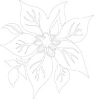 flor de pascua planta contorno silueta vector