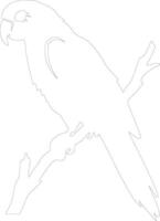 parrot outline silhouette vector