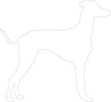 greyhound  outline silhouette vector