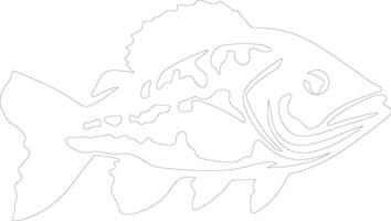 grouper  outline silhouette vector