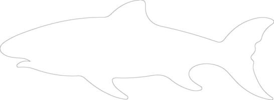 Greenland shark  outline silhouette vector