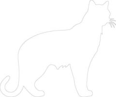 wild cat  outline silhouette vector