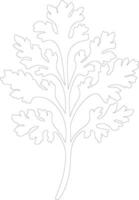 celery  outline silhouette vector