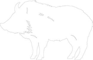 collaredpeccary outline silhouette vector