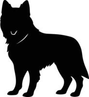 Norwegian Buhund   black silhouette vector