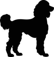 Irish Water Spaniel    black silhouette vector