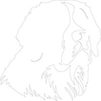 Saint Bernard  outline silhouette vector