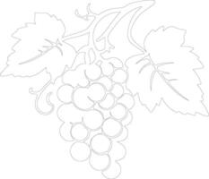 grape  outline silhouette vector