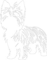 sedoso terrier contorno silueta vector