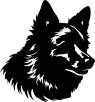 Schipperke  silhouette portrait vector