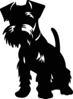 miniatura Schnauzer negro silueta vector