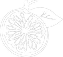 pomelo contorno silueta vector